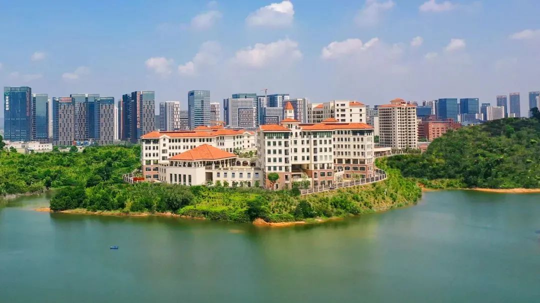 深圳外国语学校:深外（集团）湾区学校新学年报名通道开启!