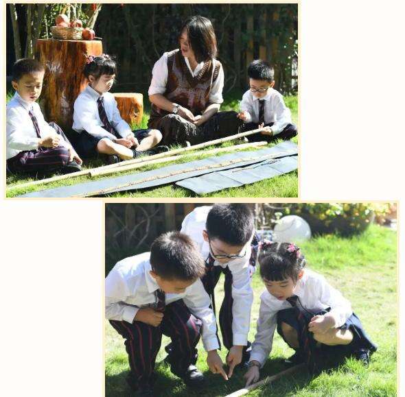 宁波海曙赫德11月18日开放日报名|让教育回归自然