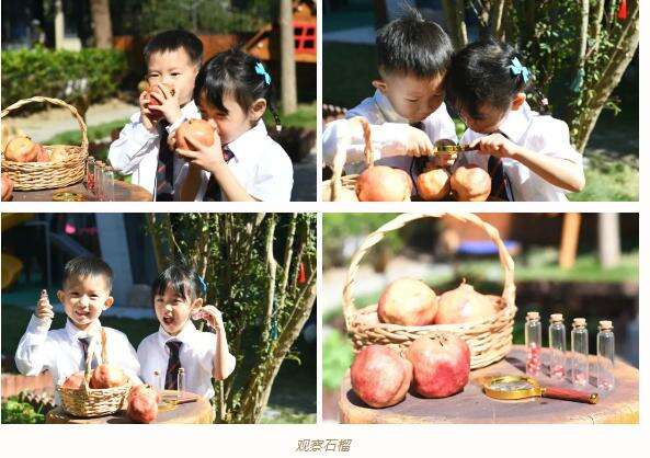 宁波海曙赫德11月18日开放日报名|让教育回归自然