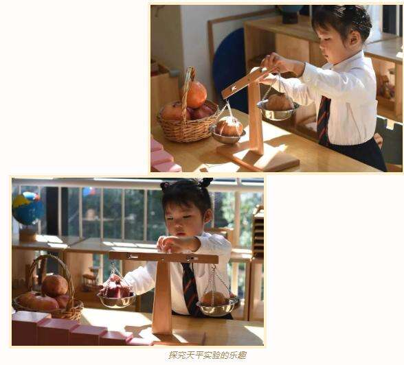 宁波海曙赫德11月18日开放日报名|让教育回归自然