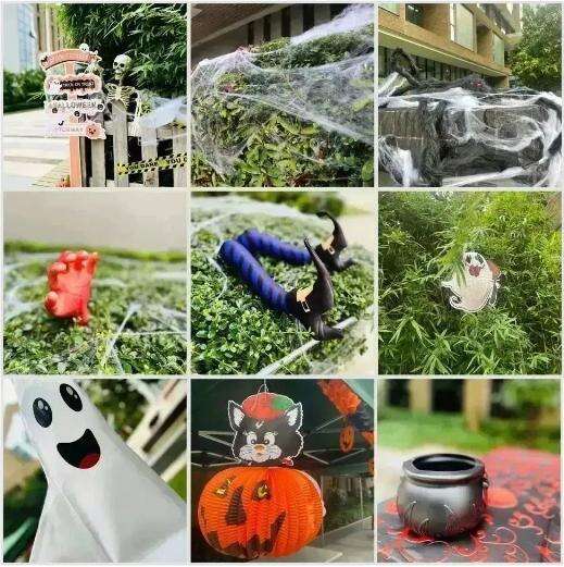 深圳外国语学校国际部：好看，好玩，尽在SWIS万圣节活动！