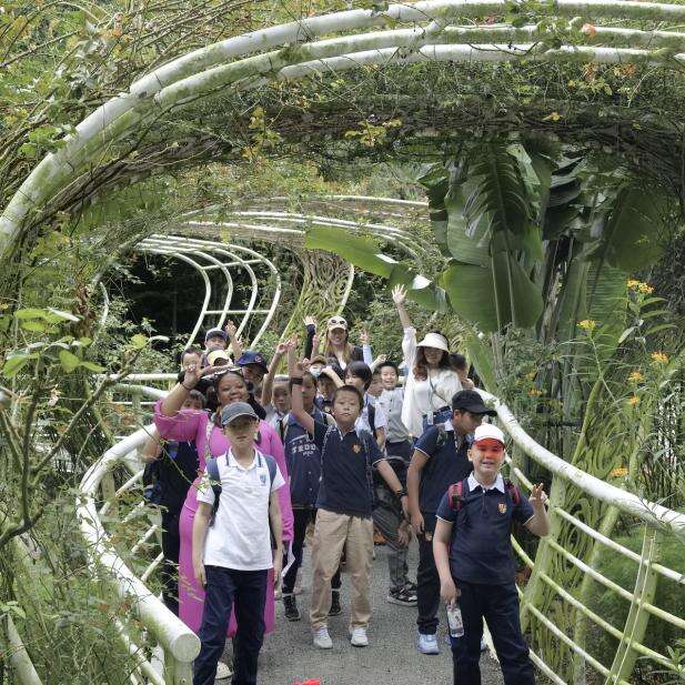 深圳IPC国际校区：秋季户外学习精彩记录！