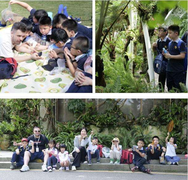 深圳IPC国际校区：秋季户外学习精彩记录！