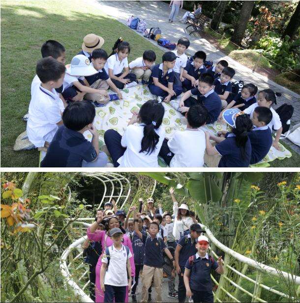 深圳IPC国际校区：秋季户外学习精彩记录！