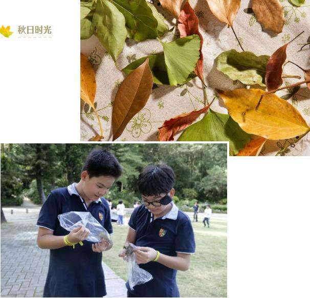 深圳IPC国际校区：秋季户外学习精彩记录！
