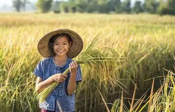 重磅！嘉兴市诺德安达学校2023-2024学年春季插班生招生简章发布！