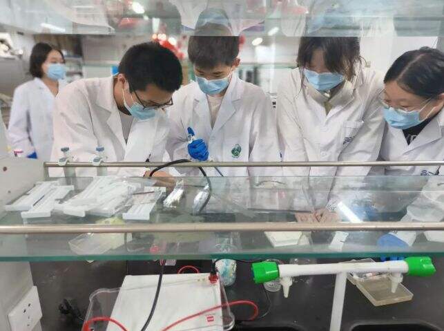 广州外国语学校AP&AL国际课程学子在iGEM竞赛中荣获全球TOP10、全球金奖、全球银奖