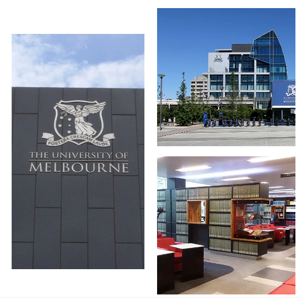 北京外国语大学国际课程中心