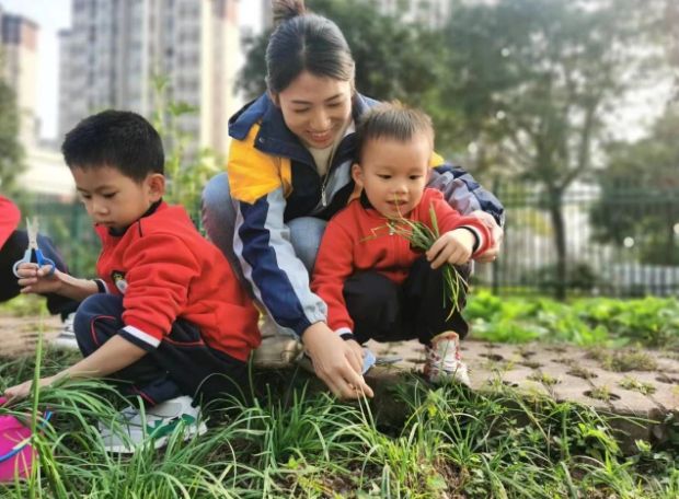 重庆枫叶国际学校2024年春季幼儿园招生简章！