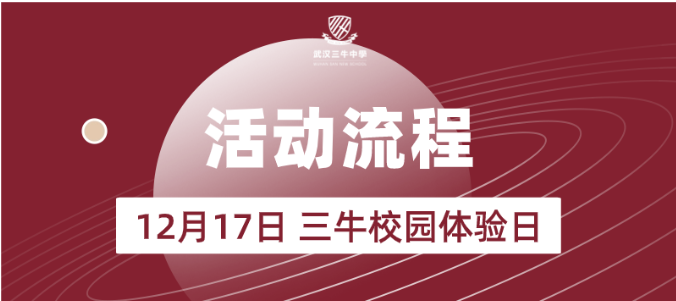 武汉三牛中学