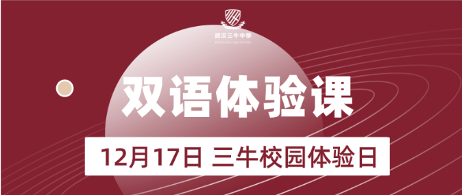 武汉三牛中学