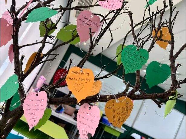 深圳IPC国际校区:成就身心和谐、个性发展的世界公民！