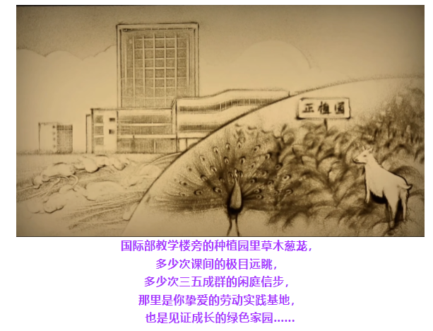 杭州第四中学国际部