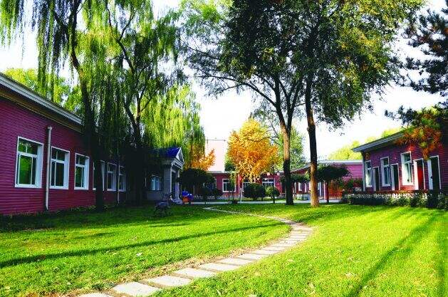 清华附中国际部