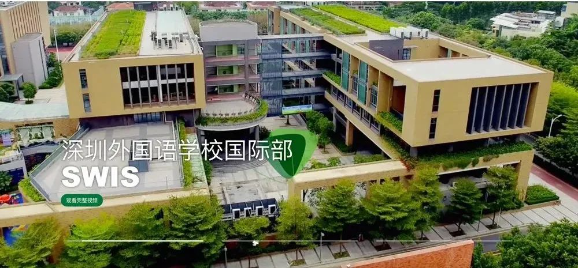 最新整理！深外国际部2024入学考试详细攻略！