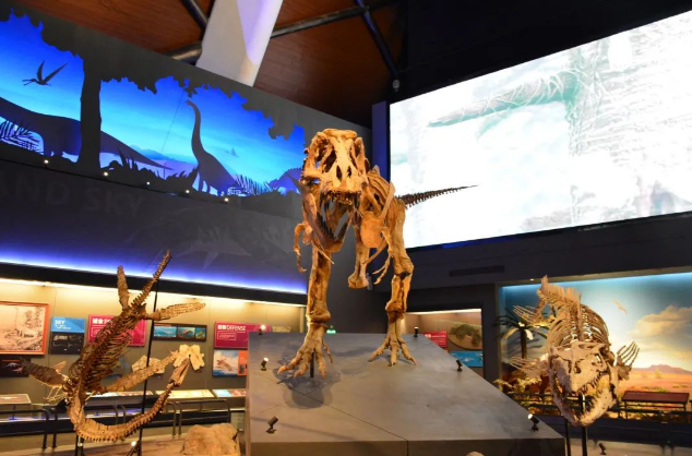 北京四中国际课程佳莲校区