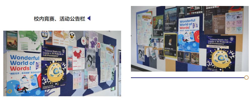 武汉康礼国际部 2024年招生简章（IB/AP/ALevel/中加班/国际艺术/日本留学班）