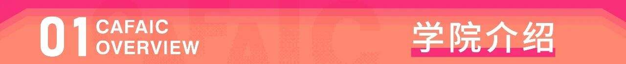 中央美术学院国际学院