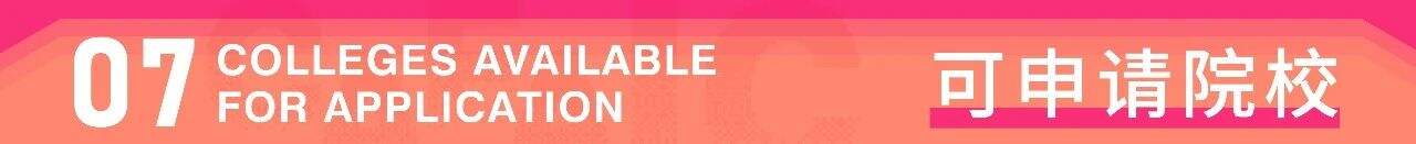 中央美术学院国际学院