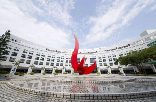 成都青苗学子获得世界著名音乐学院录取，还有港三名校全奖！