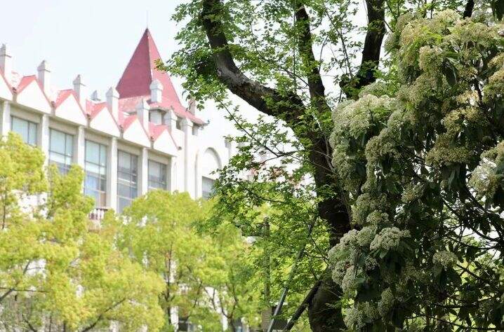 苏州国际外语学校