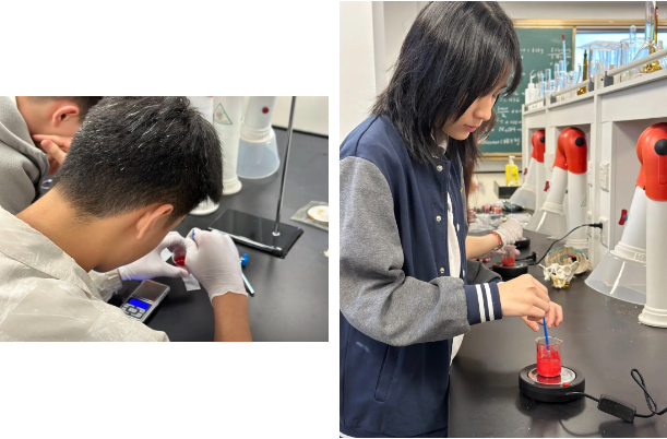 深圳市南山为明学校国际部：在实验中感受化学无穷魅力！