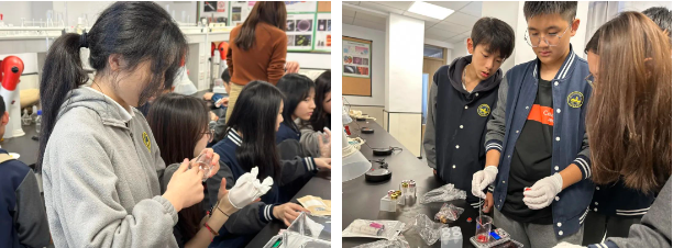 深圳市南山为明学校国际部：在实验中感受化学无穷魅力！