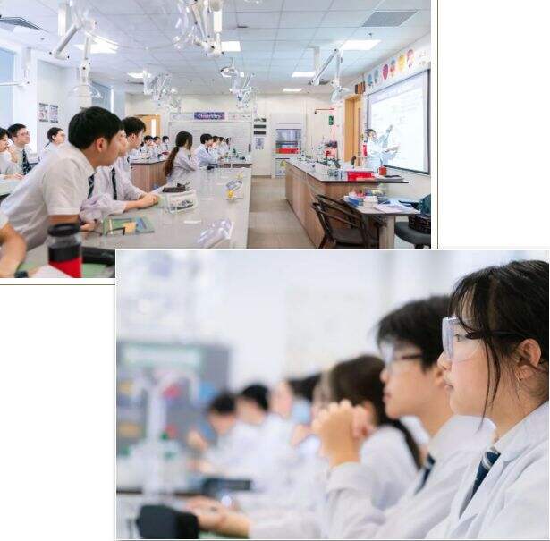 掌握先机：哈罗国际深圳帮你赢在起跑线~