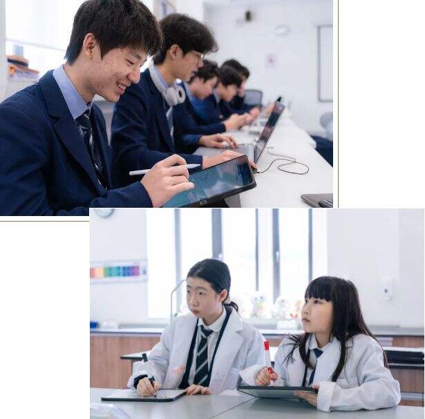 掌握先机：哈罗国际深圳帮你赢在起跑线~