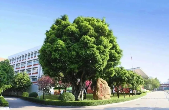 3月16日，省實(shí)AP開放日，期待與您探索國際教育之路，共筑孩子成長的橋梁！