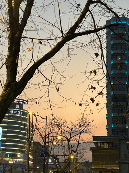 千万别后悔！我放弃了最好的公立高中，转战魔都国际学校