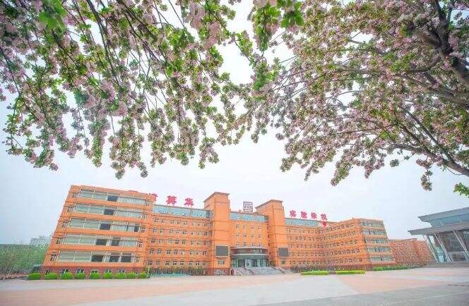 天津英华实验学校 &nbsp;