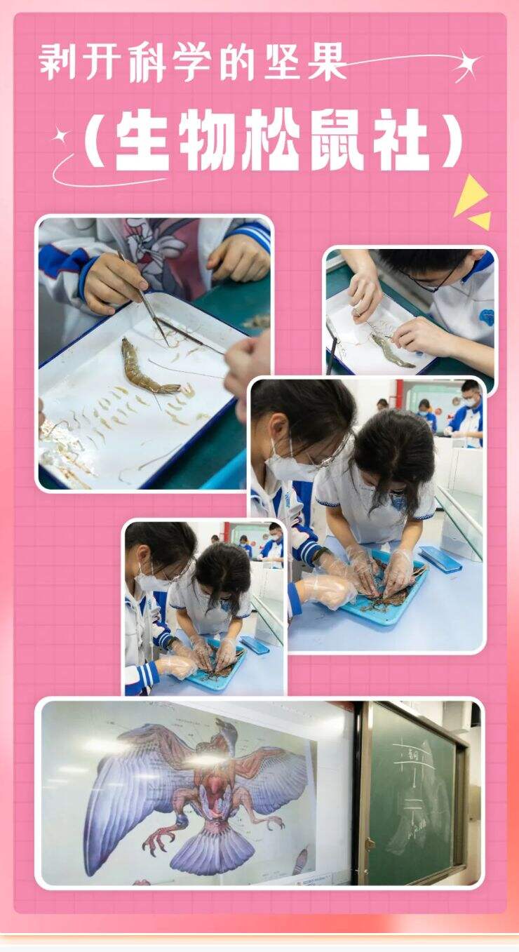 成都七中国际部