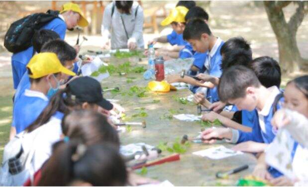 深圳市美中学校24年学校简介！