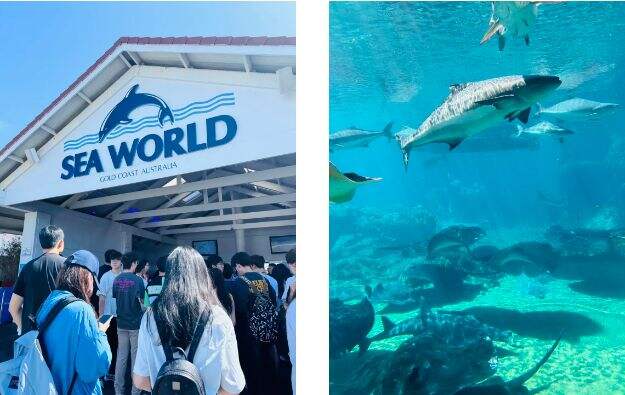 向澳洲出发！深圳市南山为明学校高赴澳学籍注册行！