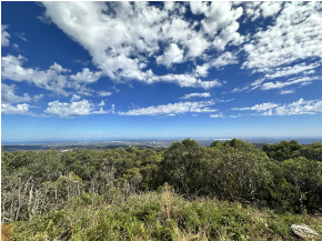 向澳洲出发！深圳市南山为明学校高赴澳学籍注册行！