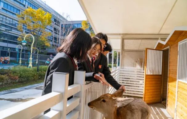 苏州山峰双语学校