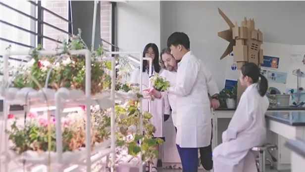深圳市普林云海港人子弟学校