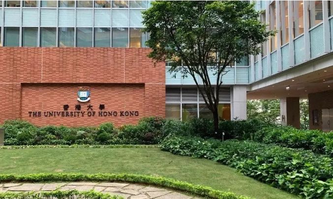 深圳国际学校24年申请香港大学方面的表现如何呢？	