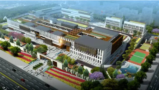 深圳枫叶国际学校：2024-2025学年初小部招生简章！