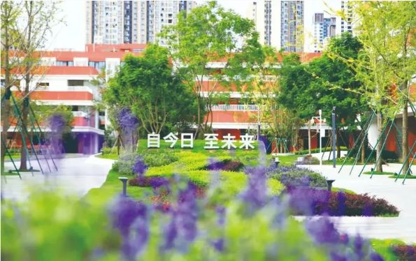 成都国际学校择校 | 天府中学融合创新高中部