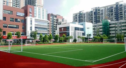 深圳南山国际学校