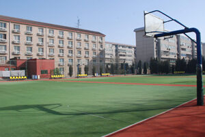 北京中加丨通州华仁学校