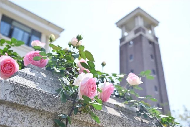 5月12日！成都市新都区芭德美际学校校园开放日！