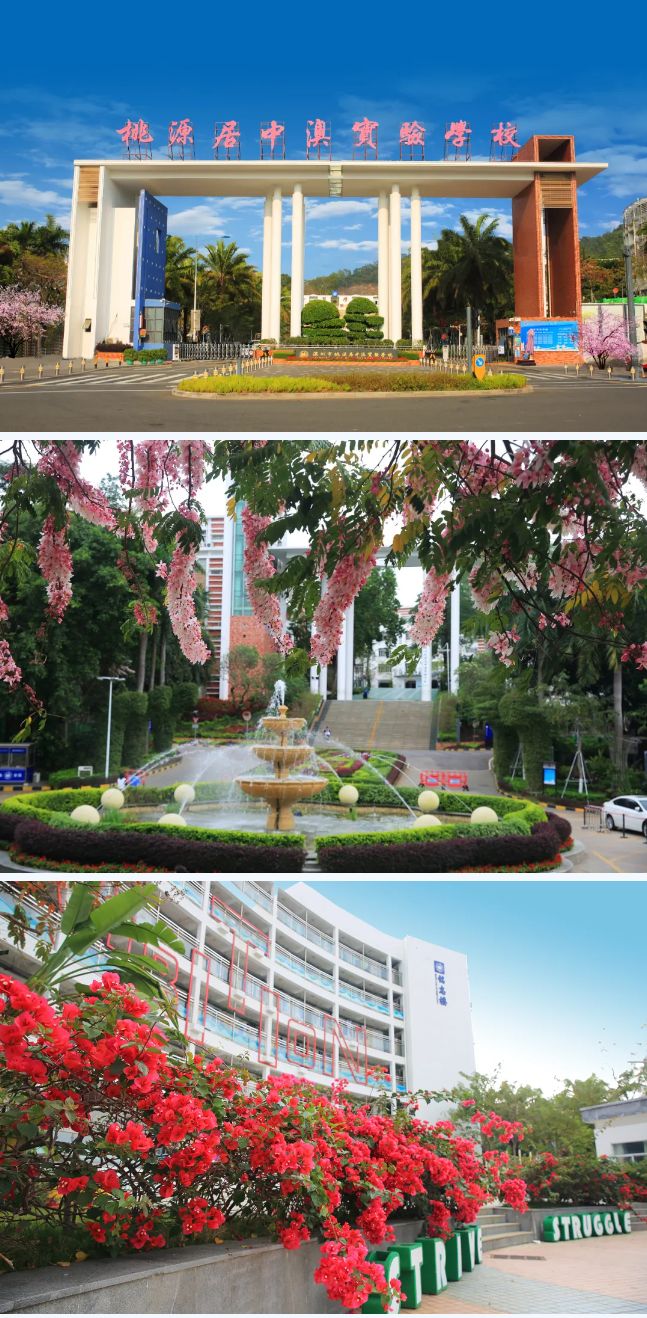 深圳市桃源居中澳实验学校：国际高中课程实验班招生简章！