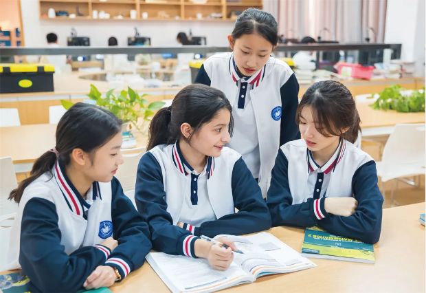 深圳市桃源居中澳实验学校