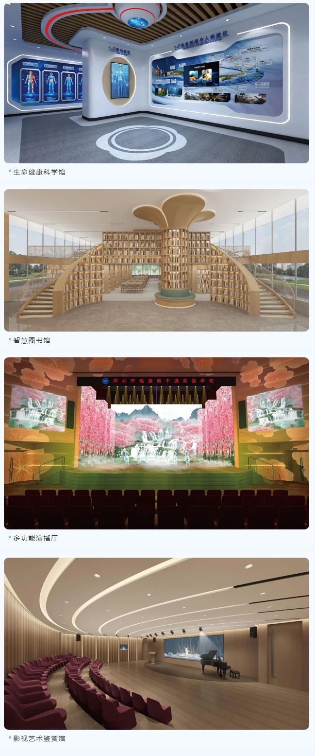 深圳市桃源居中澳实验学校