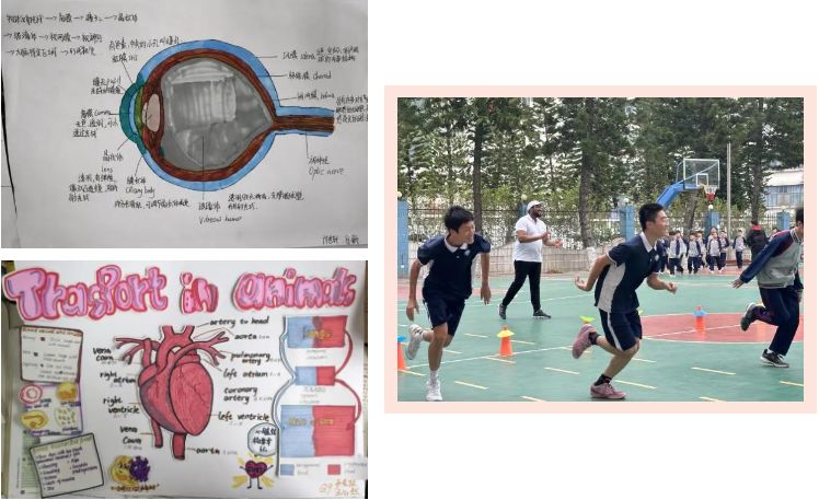 深圳东方英文书院：IB国际学校介绍！