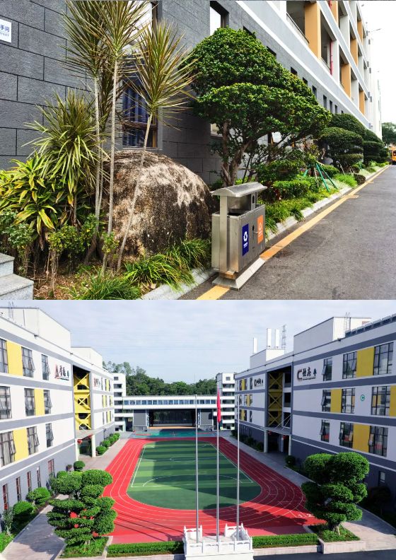 深圳市龙华区博恒实验学校高中部：2024年招生简章！
