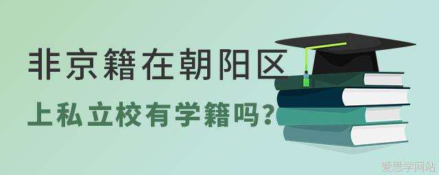 非京籍在北京朝阳区上私立学校有学籍吗